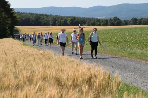 Mariazell-i gyalogos zarándoklat
